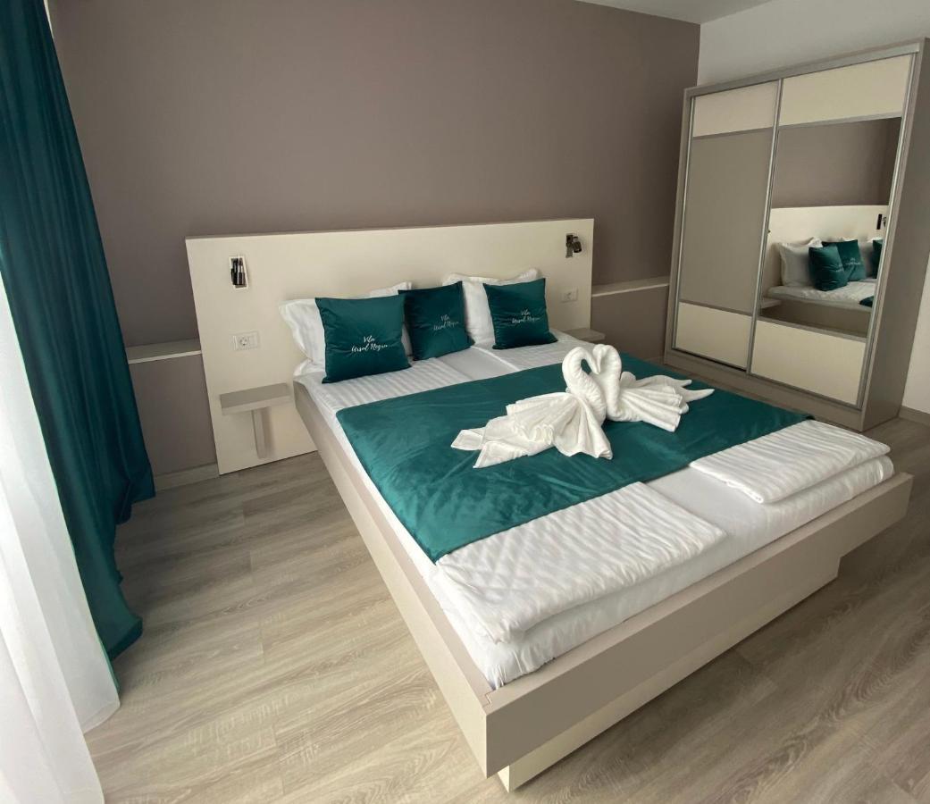 Vila Ursul Negru Совата Екстериор снимка