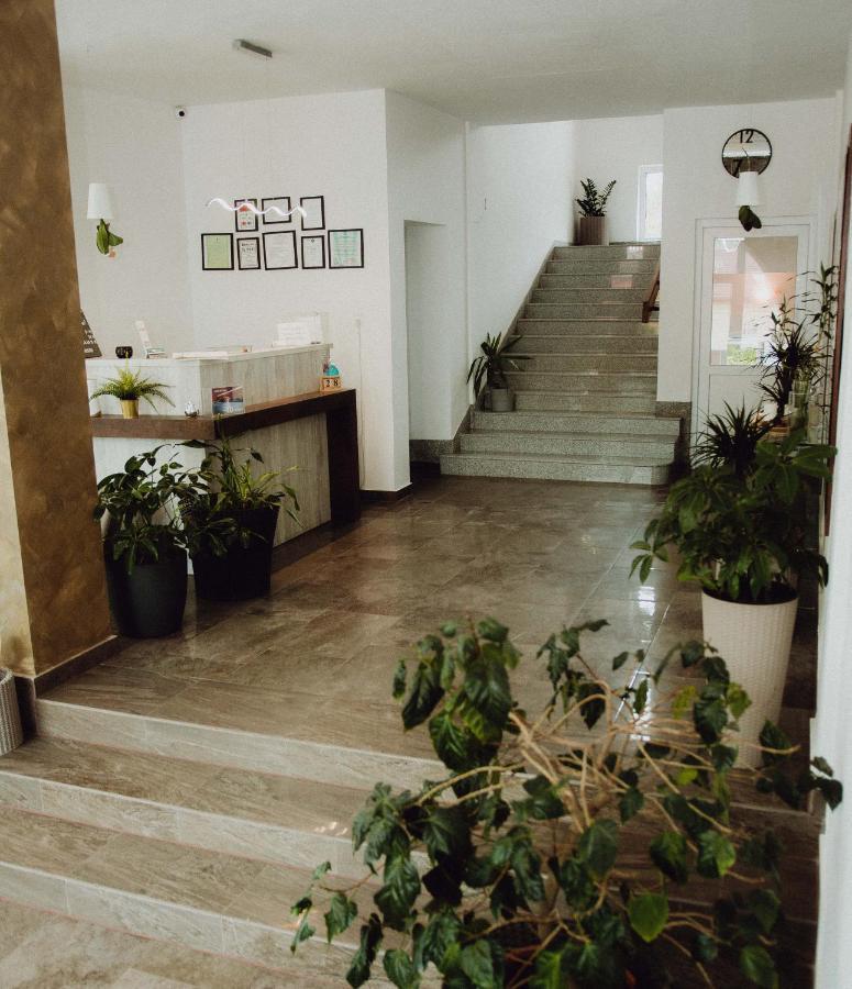 Vila Ursul Negru Совата Екстериор снимка