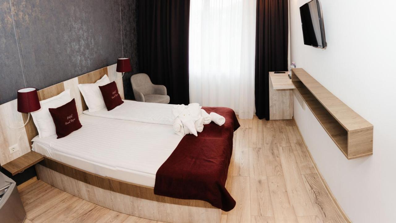 Vila Ursul Negru Совата Екстериор снимка