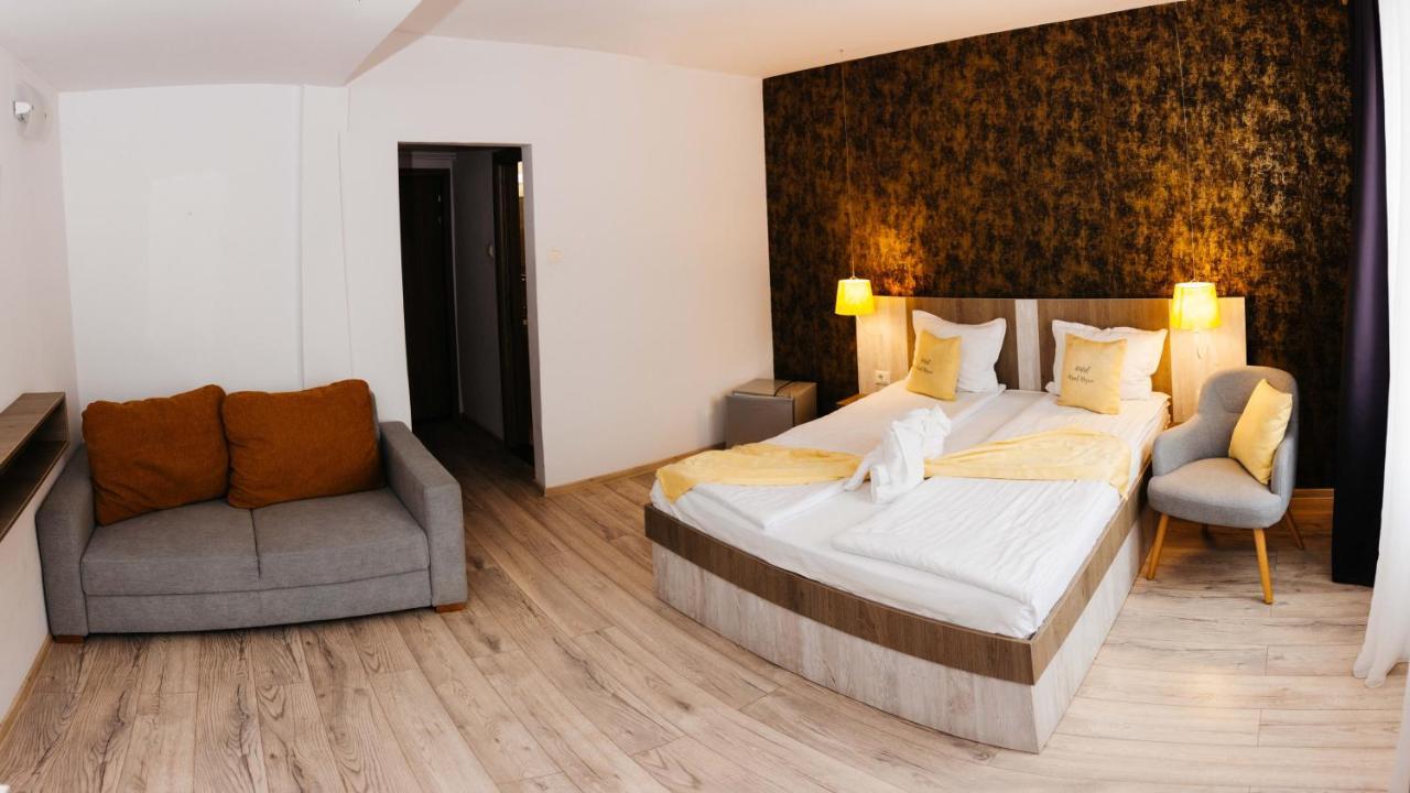 Vila Ursul Negru Совата Екстериор снимка