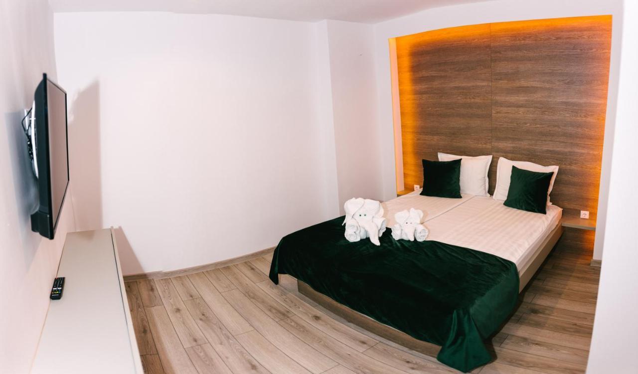Vila Ursul Negru Совата Екстериор снимка