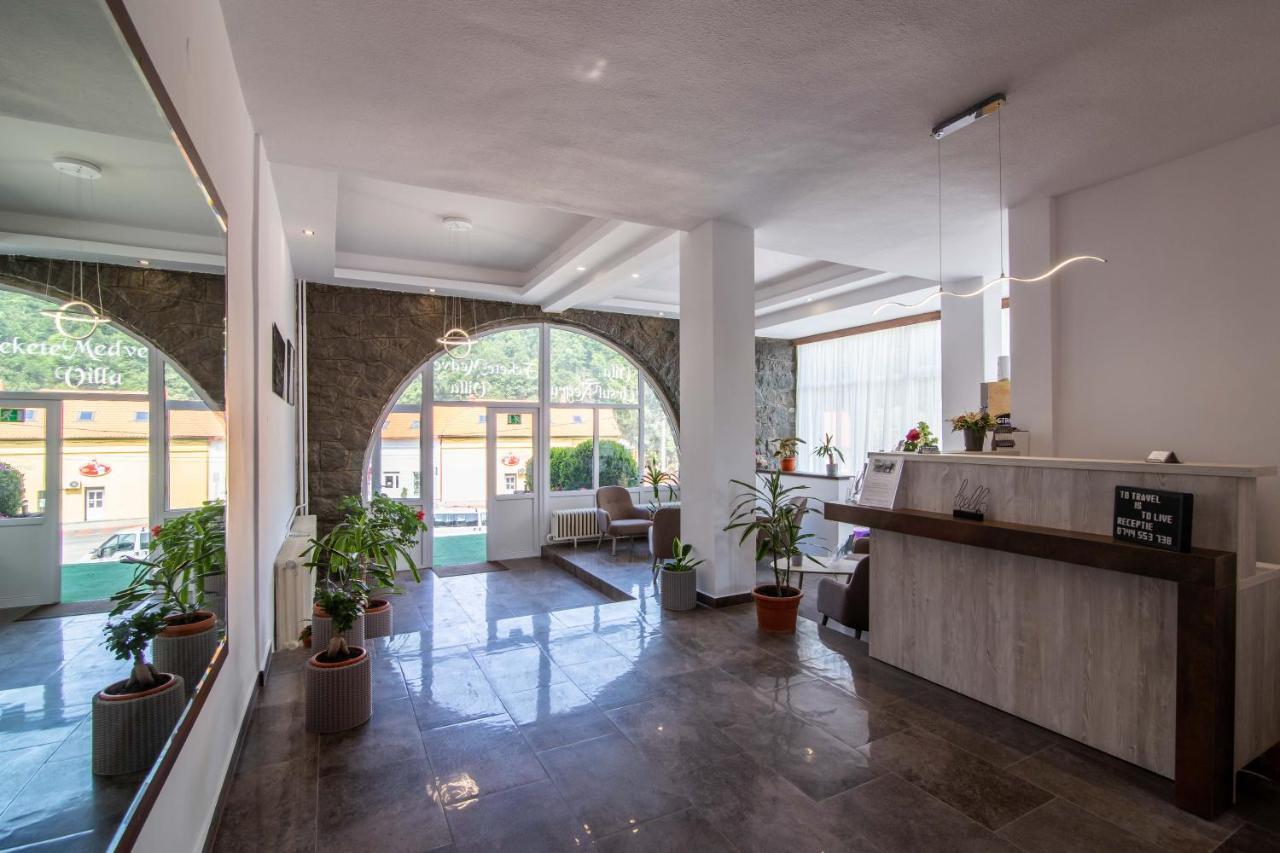 Vila Ursul Negru Совата Екстериор снимка