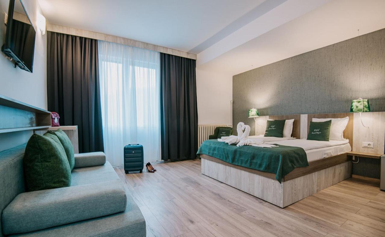 Vila Ursul Negru Совата Екстериор снимка