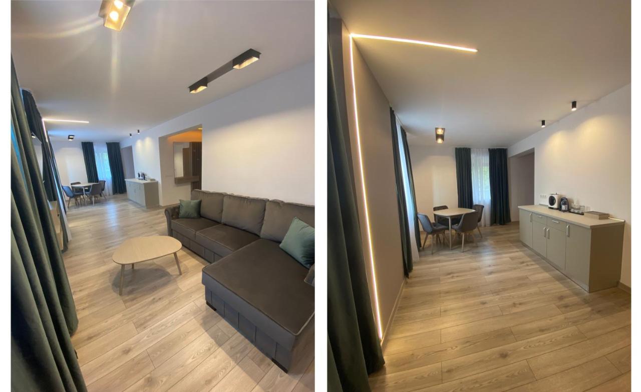 Vila Ursul Negru Совата Екстериор снимка
