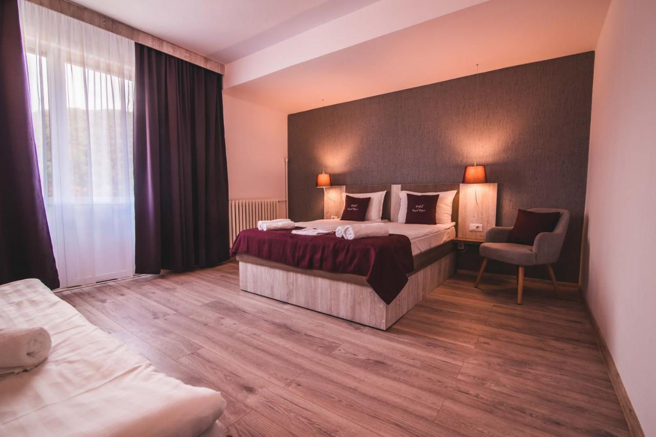 Vila Ursul Negru Совата Екстериор снимка