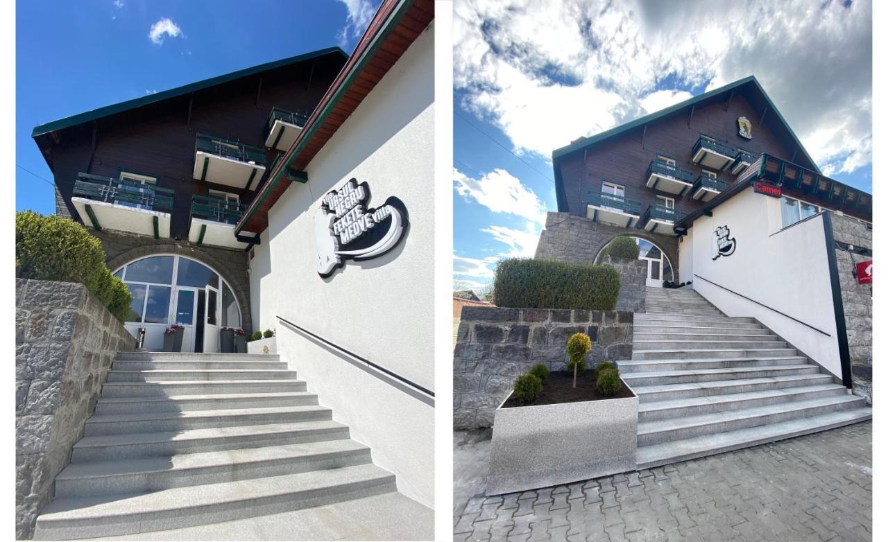 Vila Ursul Negru Совата Екстериор снимка