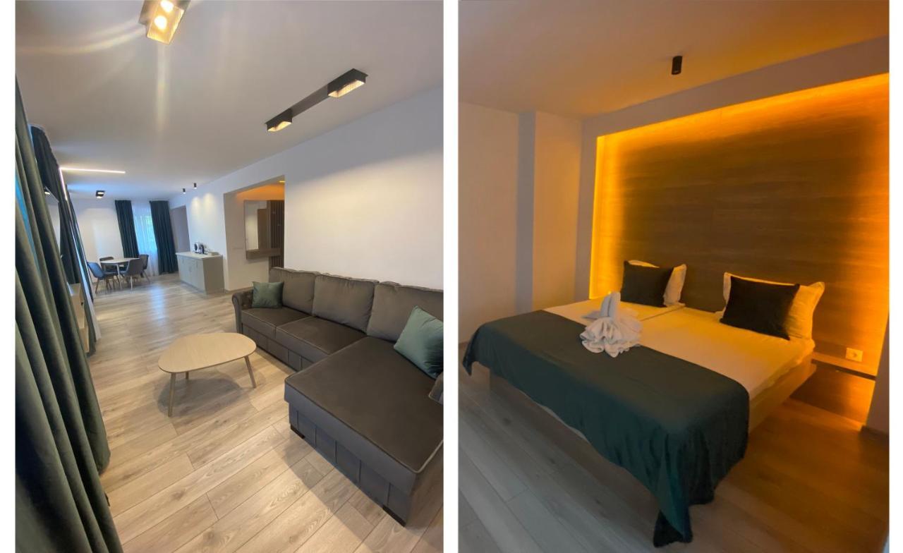 Vila Ursul Negru Совата Екстериор снимка