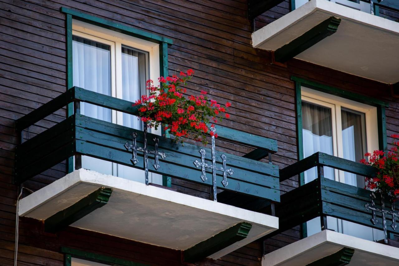 Vila Ursul Negru Совата Екстериор снимка