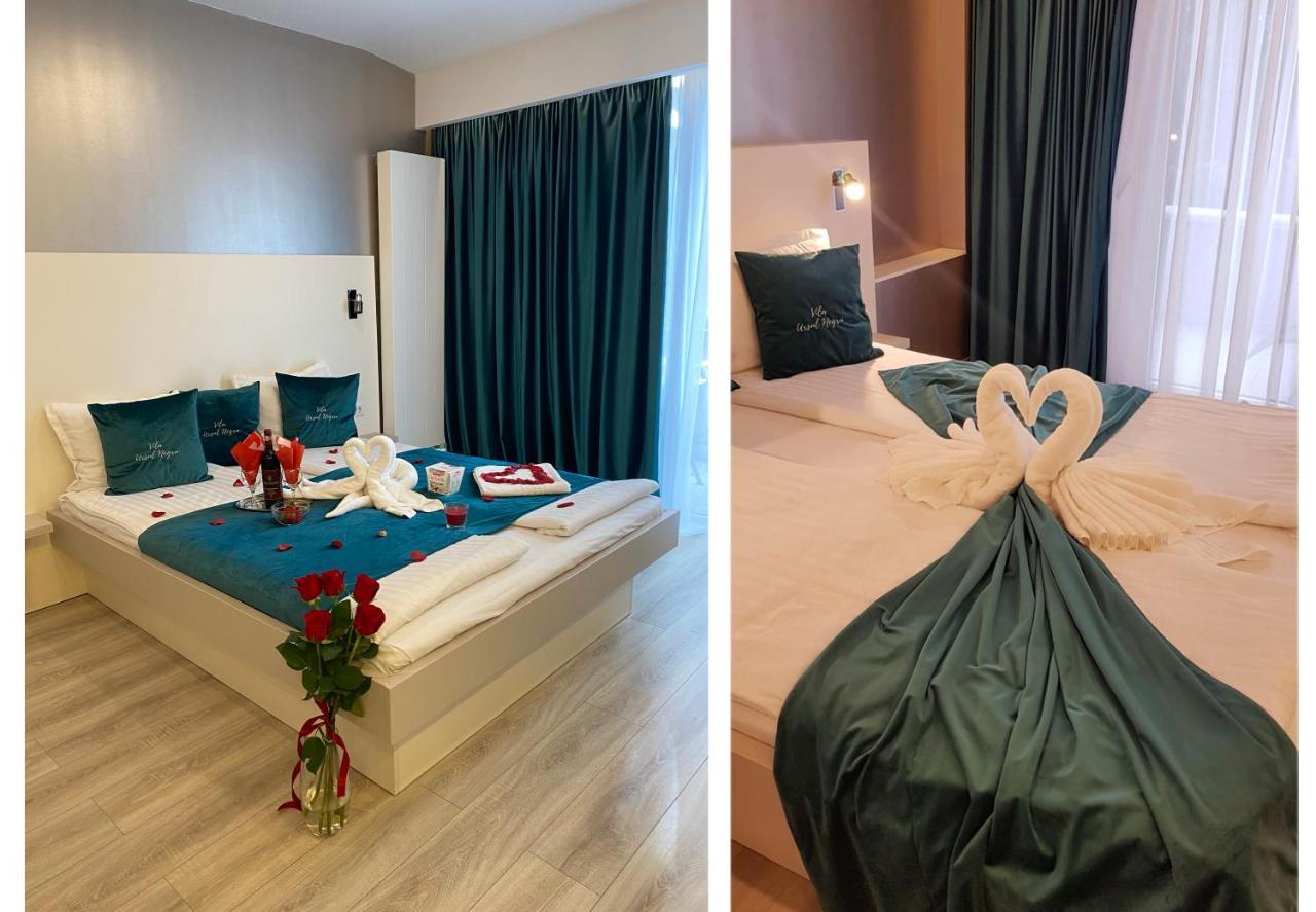 Vila Ursul Negru Совата Екстериор снимка