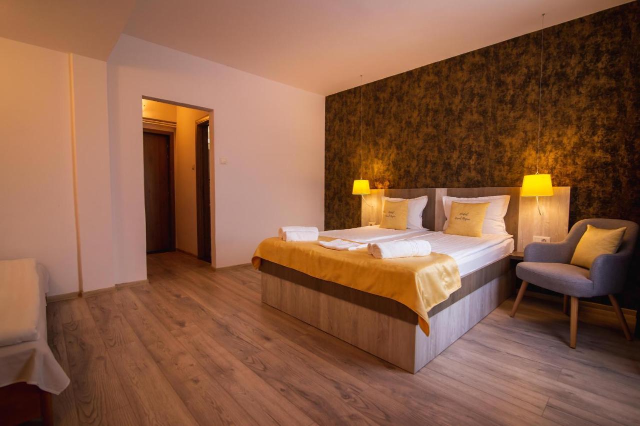 Vila Ursul Negru Совата Екстериор снимка
