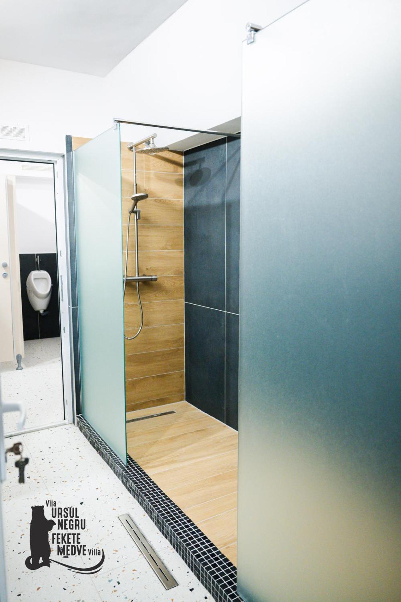 Vila Ursul Negru Совата Екстериор снимка