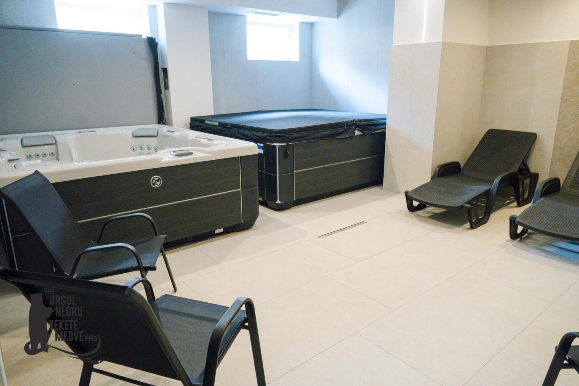 Vila Ursul Negru Совата Екстериор снимка