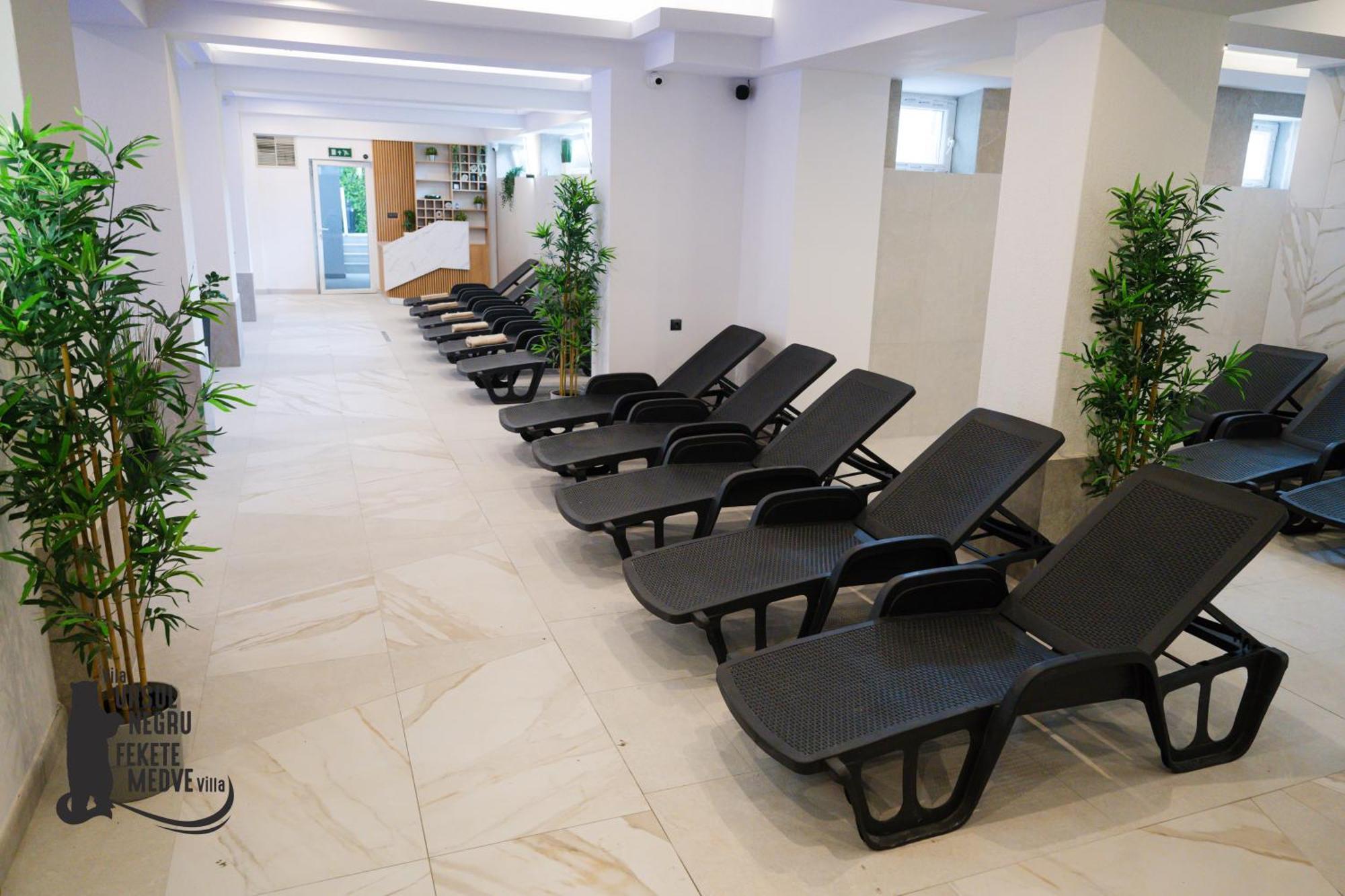 Vila Ursul Negru Совата Екстериор снимка