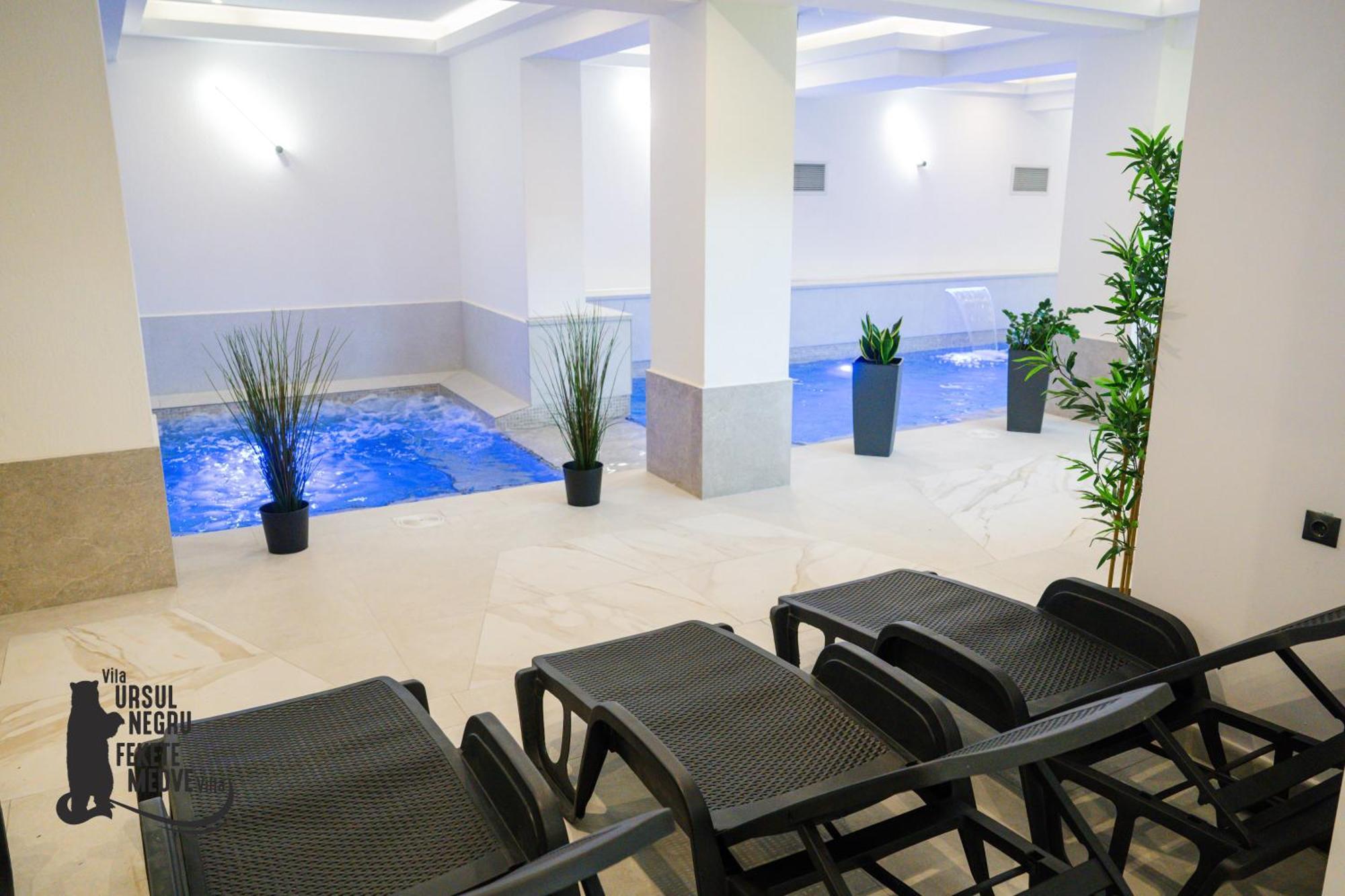 Vila Ursul Negru Совата Екстериор снимка