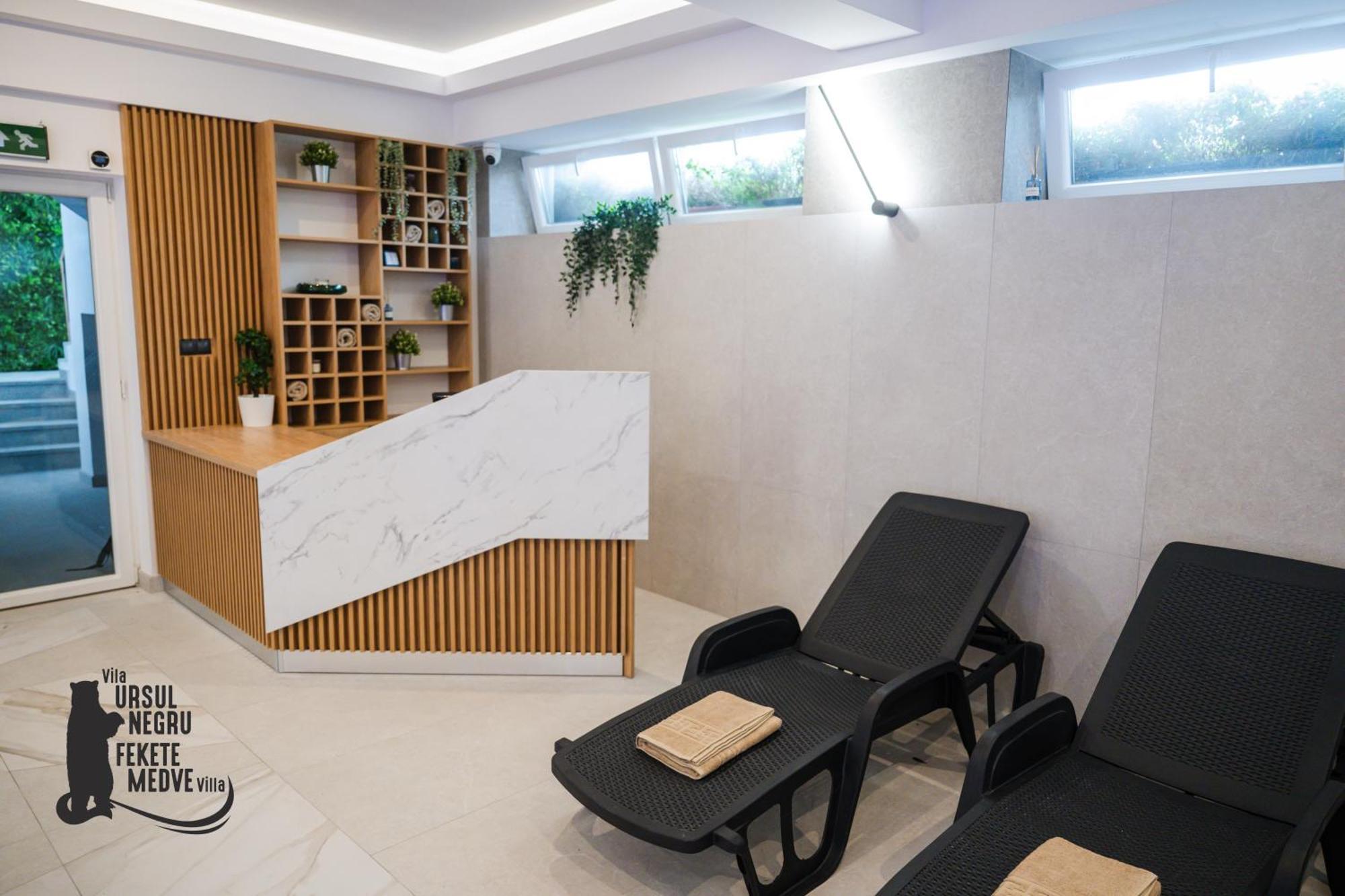Vila Ursul Negru Совата Екстериор снимка