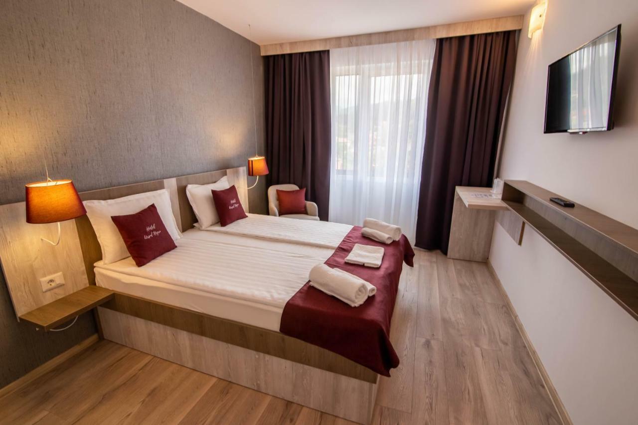 Vila Ursul Negru Совата Екстериор снимка